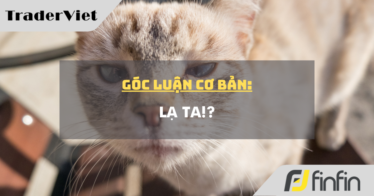 Góc luận Cơ bản 28/07: Lạ ta!?