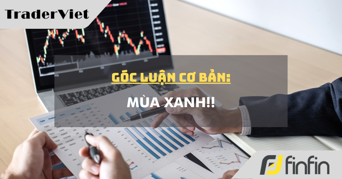 Góc luận Cơ bản 04/08: Mùa xanh!!