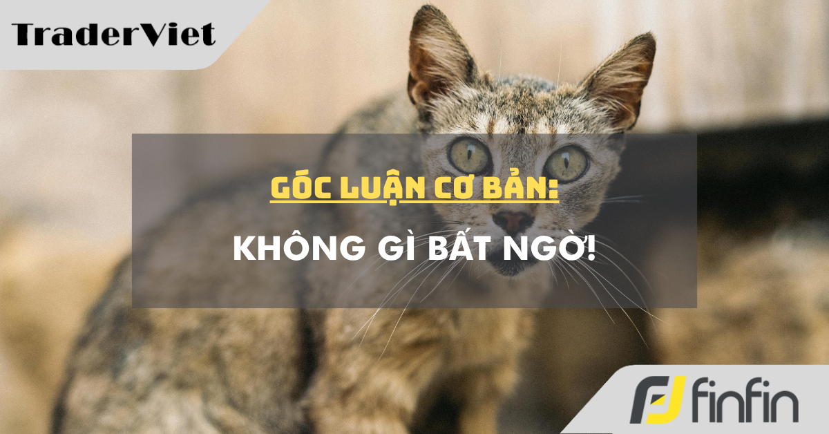 Góc luận Cơ bản 05/08: Không gì bất ngờ!