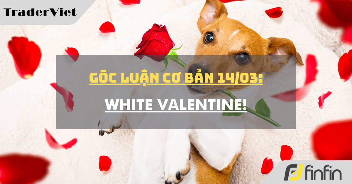 Góc luận Cơ bản 14/03: White Valentine!