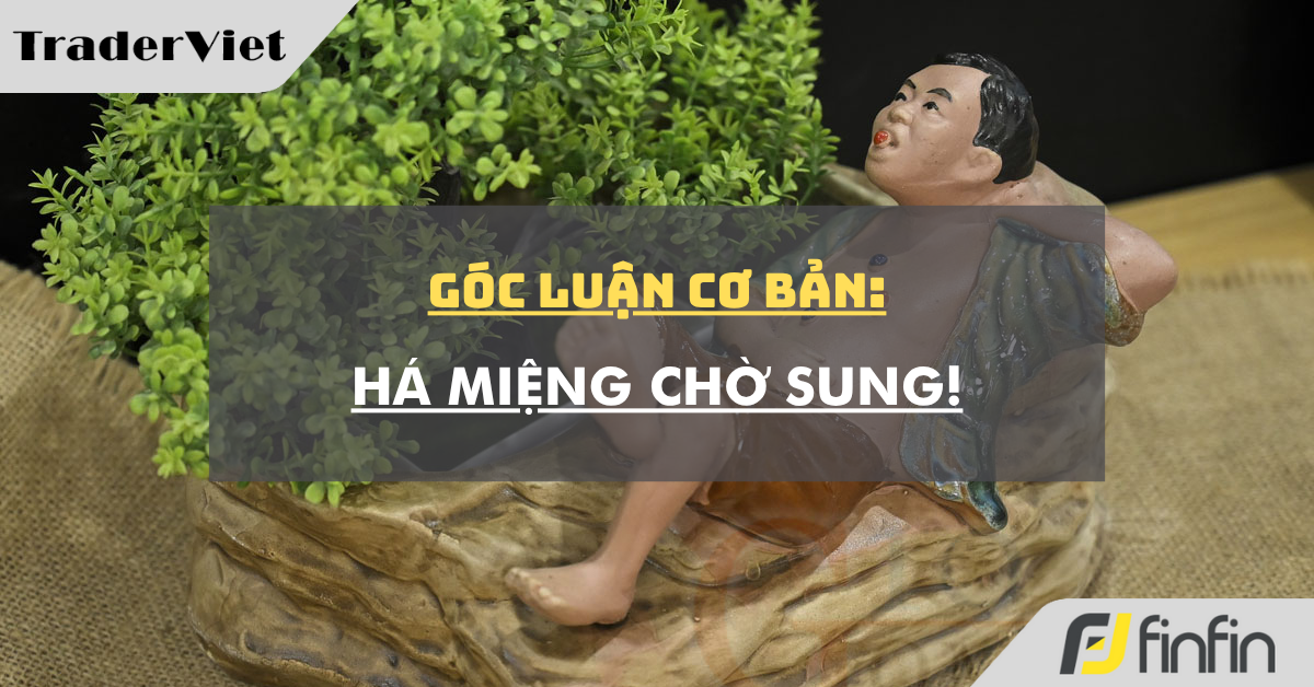 Góc luận Cơ bản 23/07: Há miệng chờ sung!
