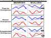upload_2021-5-18_15-31-9.png