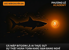 [PHUONGLE ACADEMY] Cá Mập Bitcoin Là Ai — Sự Thật Hoàn Toàn Khác Những Gì Bạn Đang Nghĩ (2).png