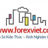 mkforexviet.com