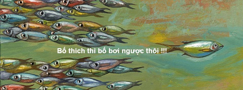 Phương pháp trading Bơi ngược dòng 7 ngày