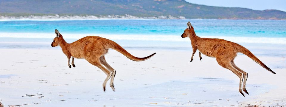 Sóng phiên Á tập 1 đã xong, đợi sóng tập 2. Kịch bản trade ra sao?