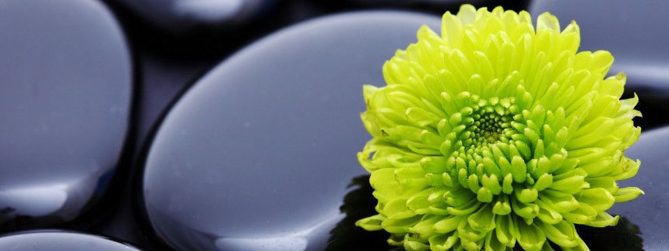 Câu chuyện về Thiền - Nên dừng hay nên tiếp tục?