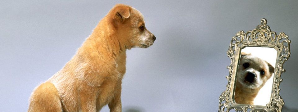 Sự tương quan giữa các cặp tiền ảnh hưởng đến rủi ro và lợi nhuận như thế nào?