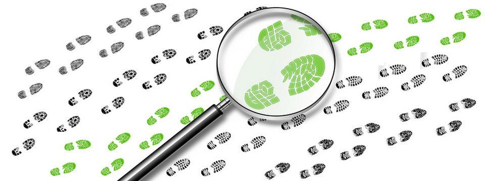 Cách tìm ra đồng tiền thuật toán tiềm năng để đầu tư trong năm mới