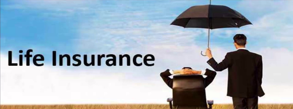 Người Mỹ đầu tư gì - Bảo hiểm nhân thọ