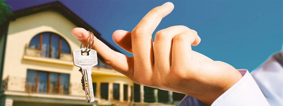 Người Mỹ đầu tư gì - Bất động sản