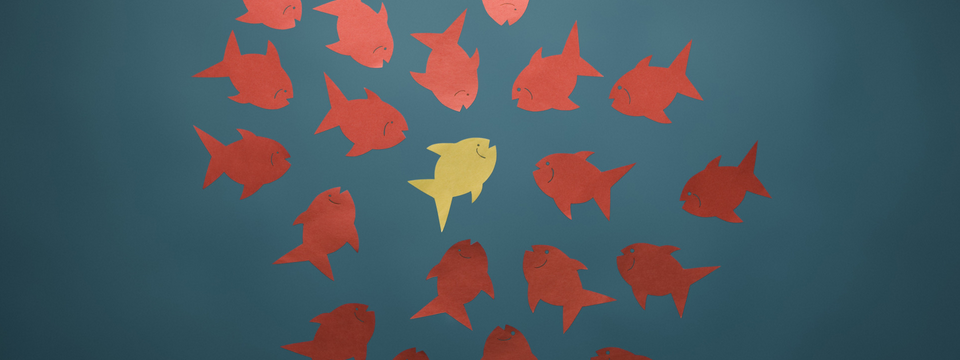 Chìa khóa phát hiện sự thay đổi của thị trường: nhận biết dấu hiệu bất ổn!