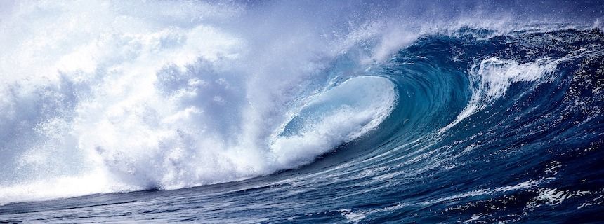 Trump vs FOMC - Tin nào sẽ thúc đẩy thị trường forex biến động mạnh?