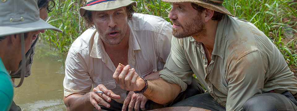 Tết này bạn hãy xem GOLD, giấc mơ của những người chuyên đi đào vàng kiểu Mỹ