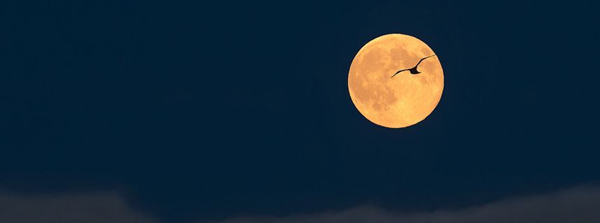 Bitcoin sẽ có thể tiếp tục giảm nhưng tin tốt sẽ đến vào tuần tới!