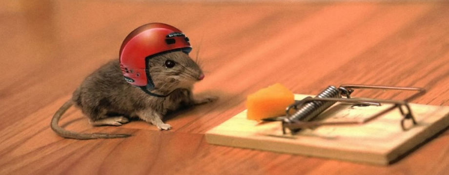 Cách nhận diện và tận dụng bẫy giá để giảm thiểu thua lỗ - Phần II