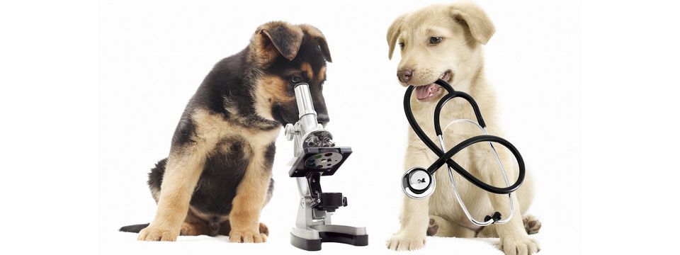 Vì sao chém chart quá khứ thì chỉ có đúng