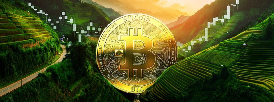 Phân tích Bitcoin và Ethereum ngày 12/03 - Sẽ gặp khó khăn tại kháng cự?