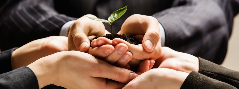 Seed Capital là gì?