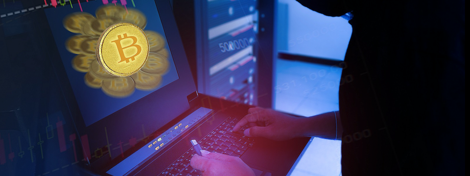 Thanh niên 15 tuổi hack được ví lạnh Ledger, anh em cẩn thận nhé