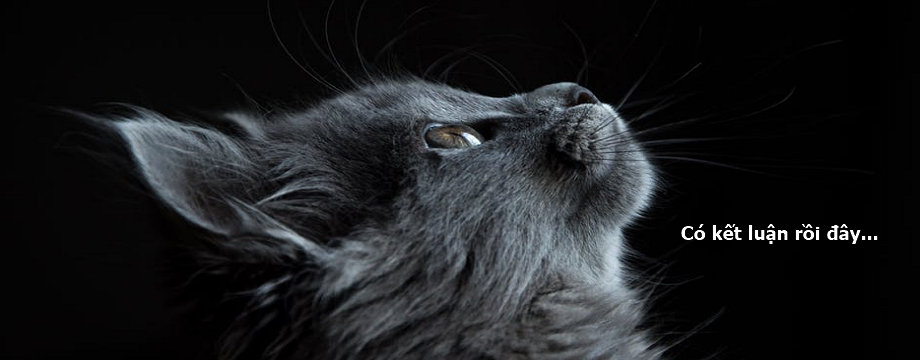 Thống kê về tính xu hướng của các cặp tiền giúp bạn follow trend hiệu quả hơn - P2