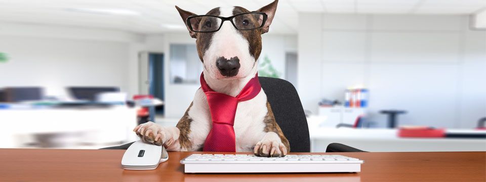 Bắt đầu forex với 12 bước cơ bản (phần cuối)