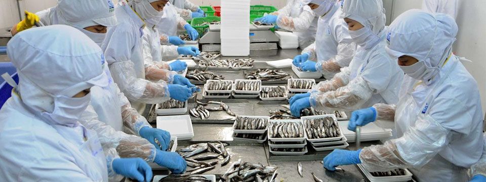 Chỉ số đo lường nền kinh tế - Báo cáo năng suất và chi phí