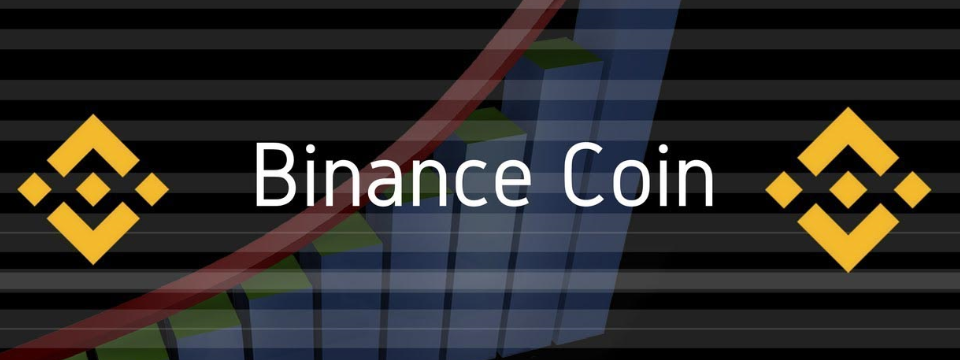 Binance Coin (BNB) sẽ bị sàn Binance đốt dần hàng quý - Có phải cơ hội mua vào?
