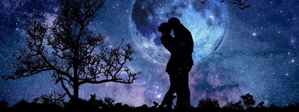 (Vui) Buổi ăn tối lãng mạn của Trader như thế nào?