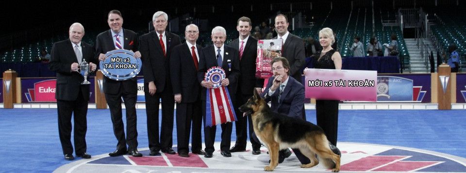 Crypto Trader, nên thôi show kết quả kiếm tiền trên facebook được rồi, kẻo họa vào thân