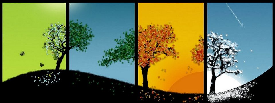 Chu kỳ USD theo mùa của tháng 5 có gì đáng chú ý?