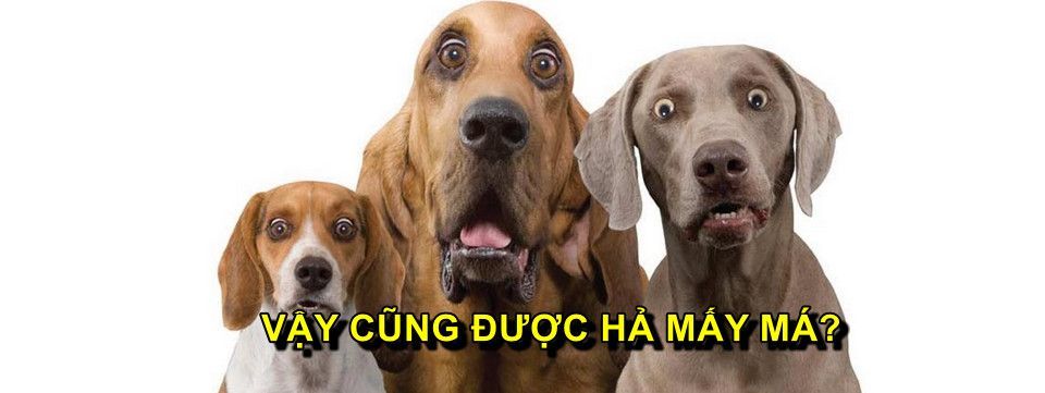 Sau đợt pump khủng 120%, ByteCoin đã bị biến mất khỏi Coimarketcap. Vui thôi đừng vui quá?