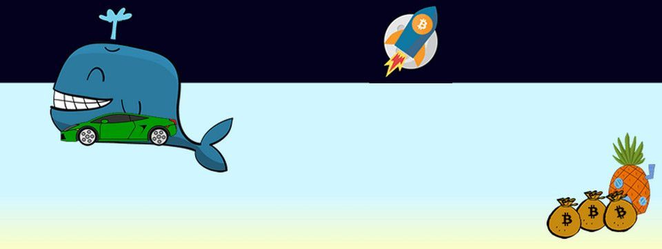 Thử bắt bài vụ Binance tiếp tay cho cá mập làm giá ByteCoin