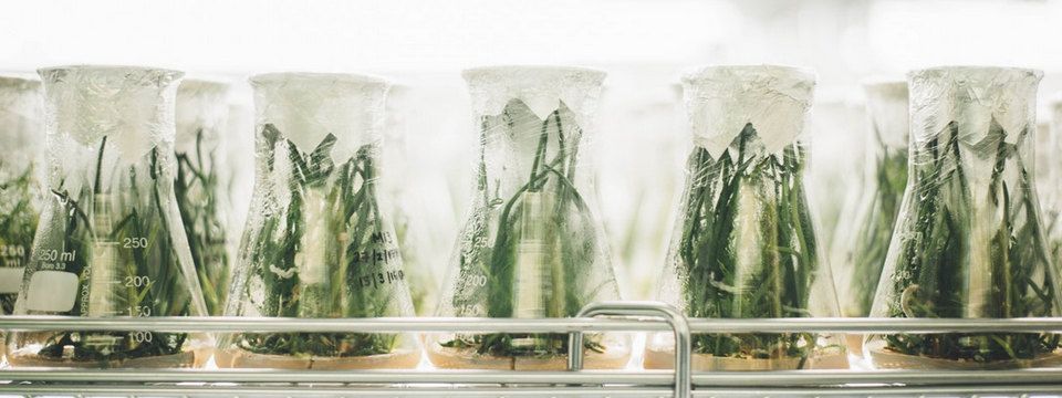 Một số cách để tự nghiên cứu trong thị trường Crypto