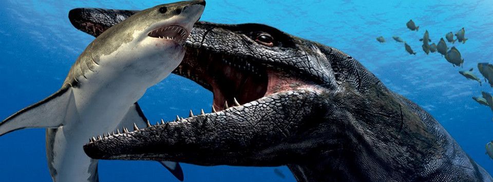 Thị trường Forex đang chạy loạn. Sáng nay có biến gì căng?