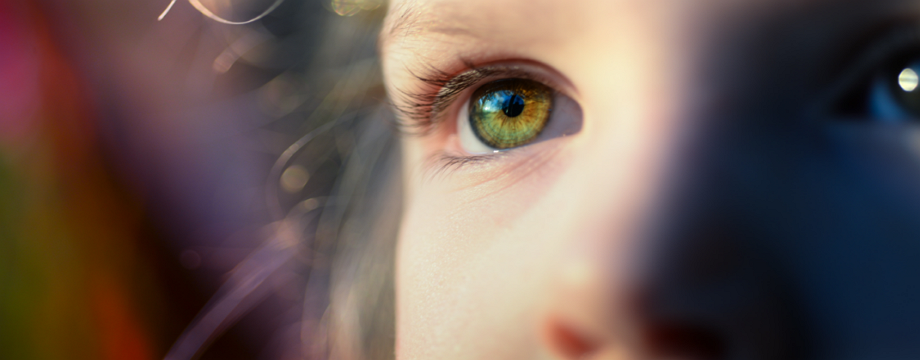 Bí mật lớn nhất về cuộc chơi zero sum của thị trường Forex - Phần II