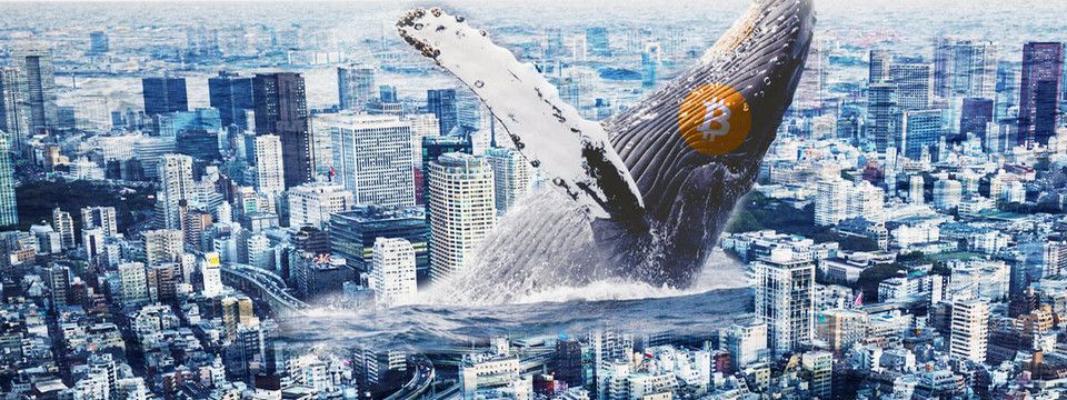 Oh Sh*t ! Anh em Crypto dậy ngay. Cá mập vừa tàn sát Bitcoin. Tình hình tiếp theo có thể là gì?