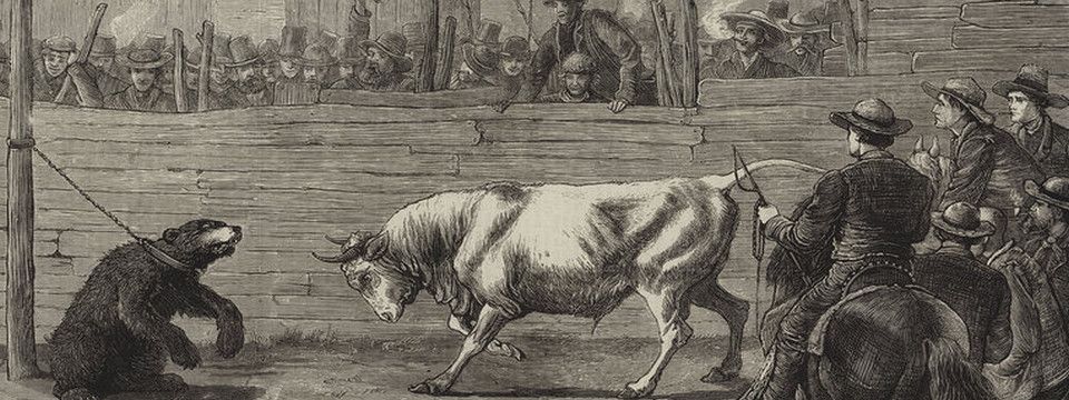 Oh Sh*t ! Lại đột kích lúc nửa đêm. Nhưng lần này có gì khác khi bẫy gấu đã sập xuống?