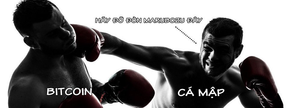 Phân tích Bitcoin trung hạn ngày 16/06 - Cú ra đòn chí mạng đẩy tình hình vào thế chông chênh