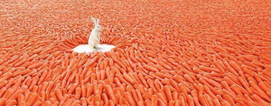 Tản mạn về sự thay đổi và niềm tin trong trading