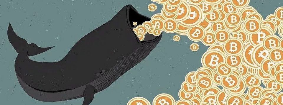 Crypto đầu ngày 30/06 - Oh yeah ! Pump thần chưởng đã xuất hiện ! Cuộc đời sẽ ra sao từ đây?