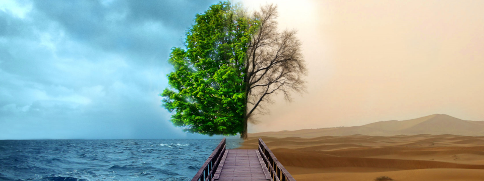 Trade tốt và trade tệ khác nhau như thế nào?