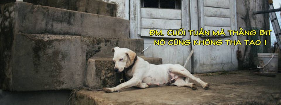 Crypto khuya 06/07 - Cuối tuần đã đến nhưng Crypto Trader có thể sẽ mệt mỏi hơn vì điều này