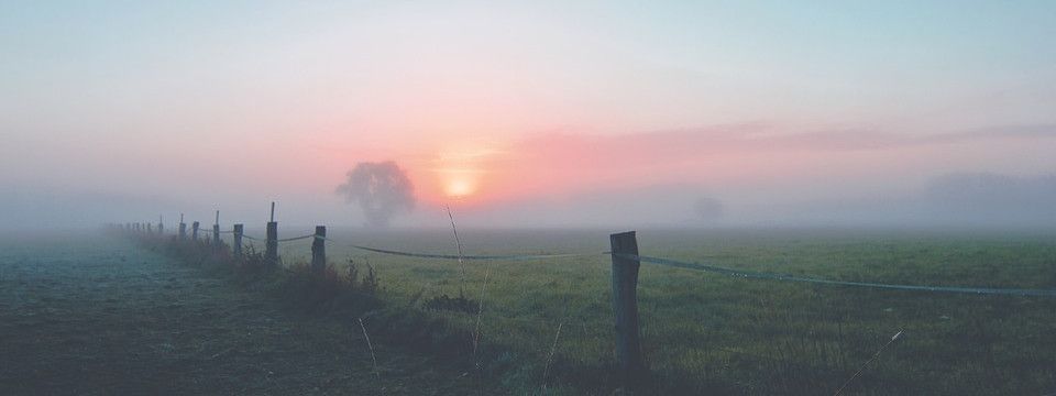 Crypto chiều 13/07 - Có hi vọng gì sau tia sáng đầu ngày?