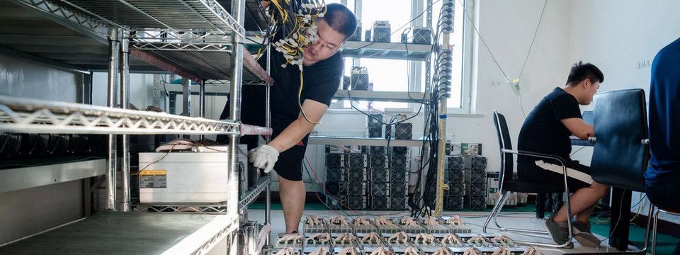 Ước mơ Đào Coin For Living ở Việt Nam phải tạm ngưng?