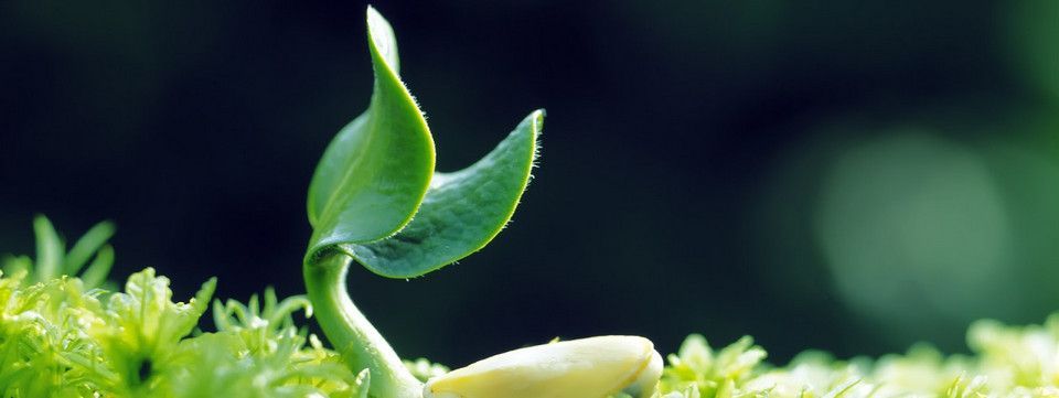 Phân tích Bitcoin trung hạn ngày 21/07 - Đã có yếu tố đột phá quan trọng