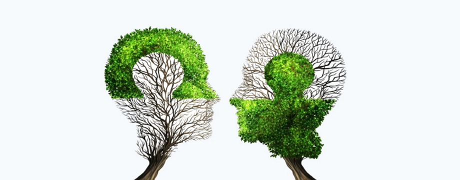 Muốn không bị mất vốn giao dịch? Hãy học cách bảo vệ vốn cảm xúc trước tiên! - Phần 2