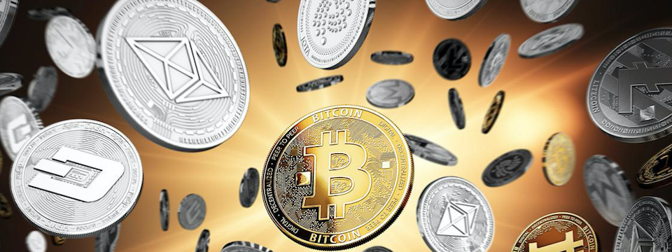 Anh em có trade 1-2 coin cố định không?