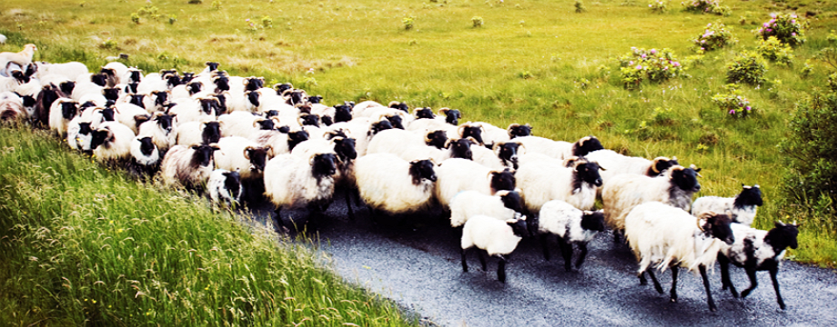 Hướng dẫn sâu về giao dịch theo xu hướng - Phần 3