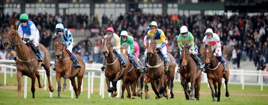 Hướng dẫn sâu về giao dịch theo xu hướng - Phần cuối